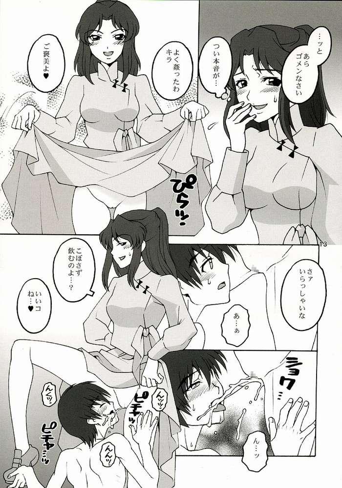 Cutie Utahime Jigoku - Gundam seed Brunettes - Page 12