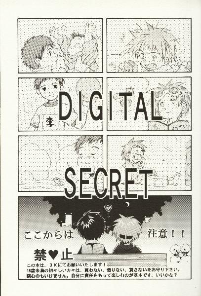 Digital Secret 1