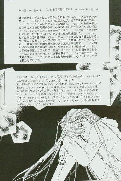 Que ETERNAL FLAME - Gundam wing Bj - Page 3