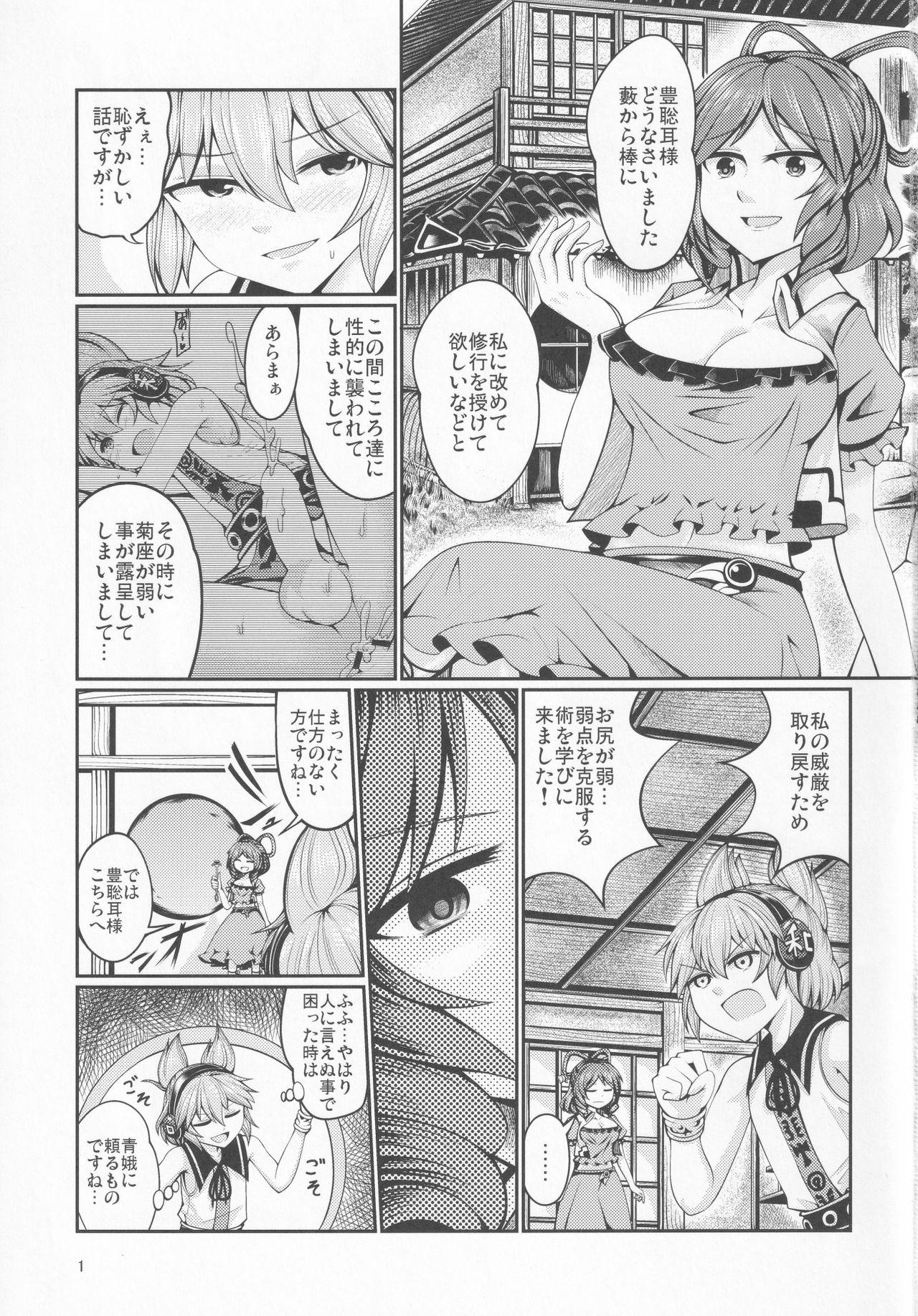 Lesbians Reverse Sexuality 4 - Touhou project White - Page 2