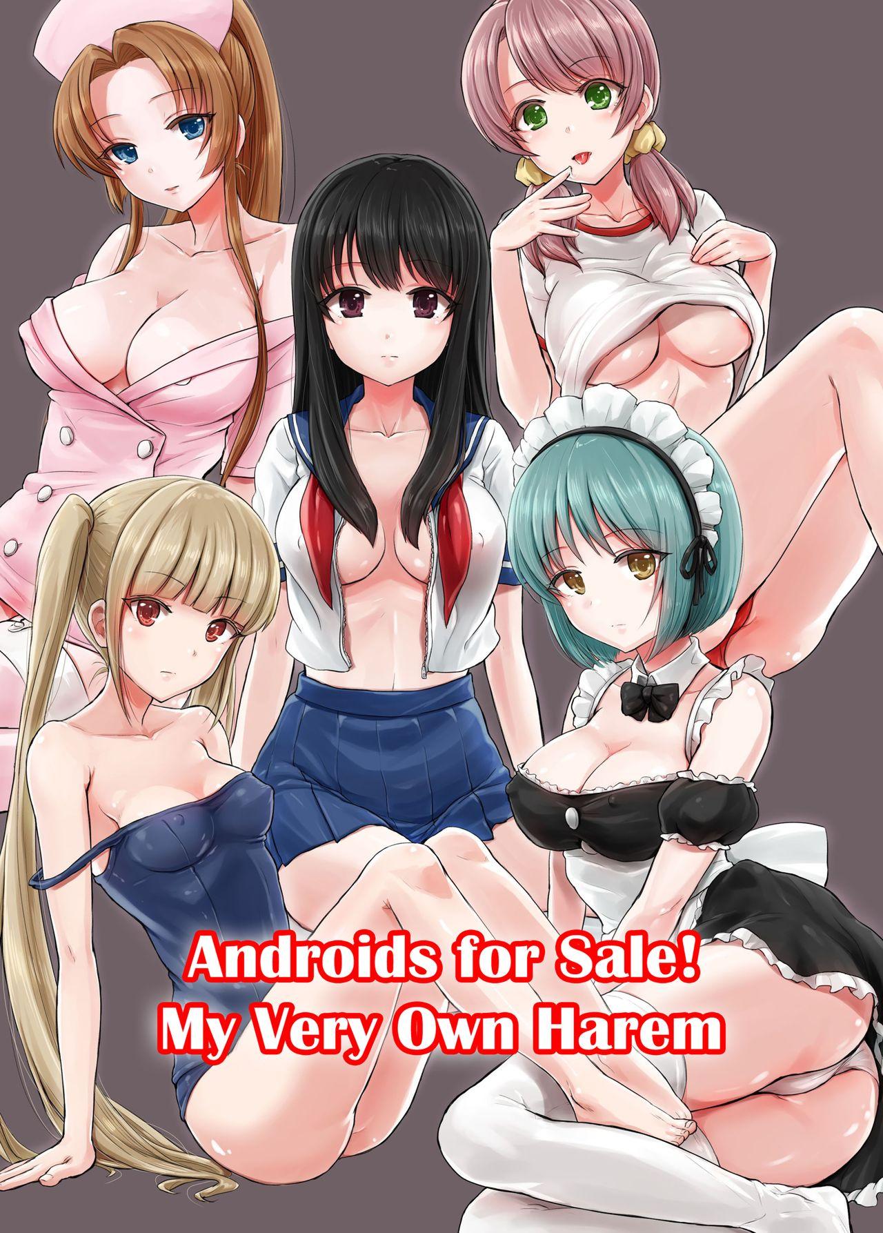 Androids For Sale! My Very Own Harem 0