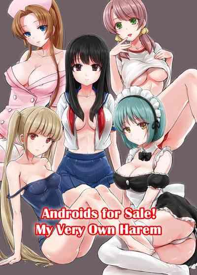 Androids For Sale! My Very Own Harem 1