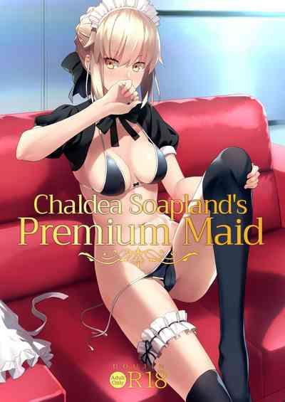 Chaldea Soap SSS-kyuu Gohoushi Maid | Chaldea Soapland's Premium Maid 1
