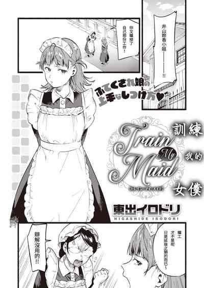Train My Maid 3