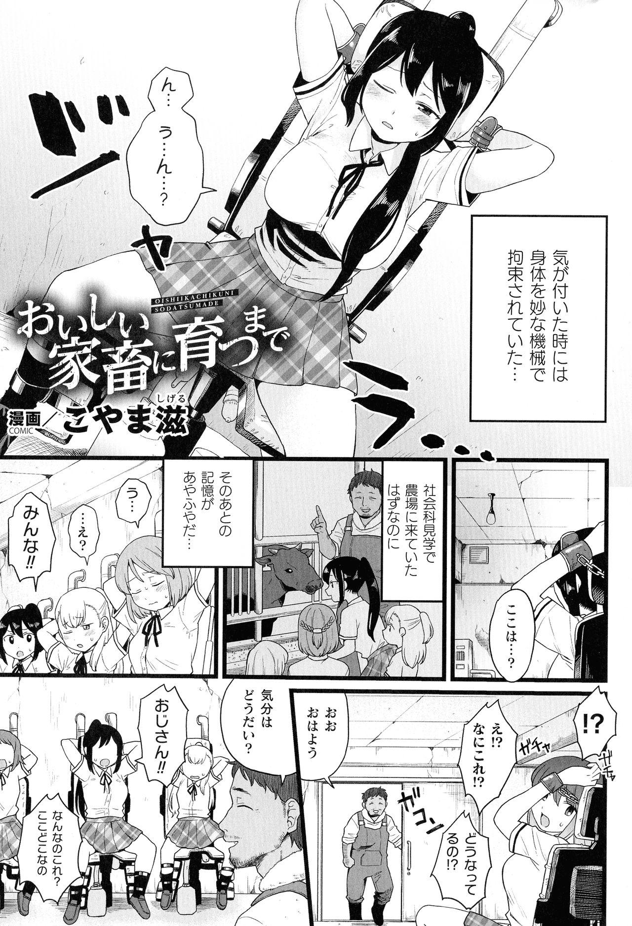 2D Comic Magazine Kikaikan Ningen Bokujou 24