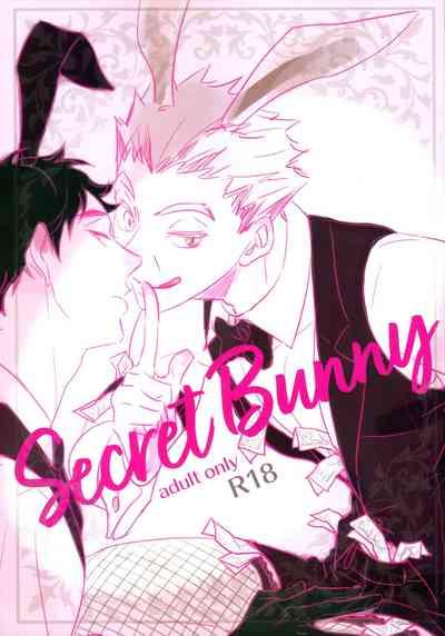 Secret Bunny 1