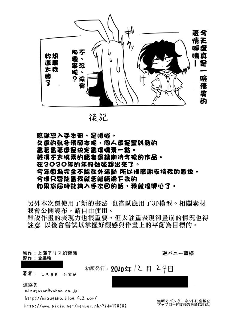 Fuck Seiran Udongein | 清蘭優曇華院 - Touhou project Exgf - Page 28