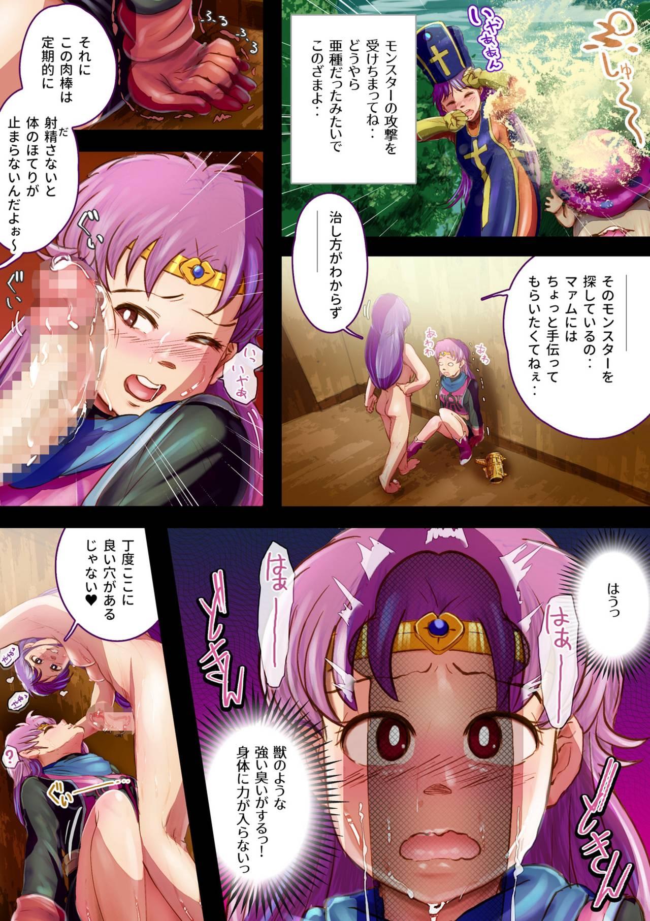 Lesbian ZuruMaa - Dragon quest iii Doll - Page 6