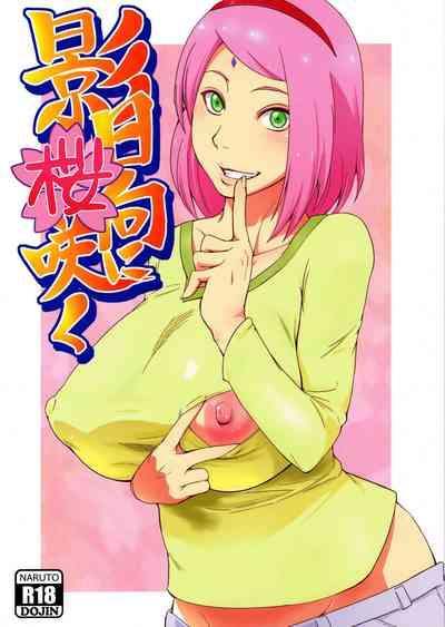 Kage Hinata ni Sakura Saku 1