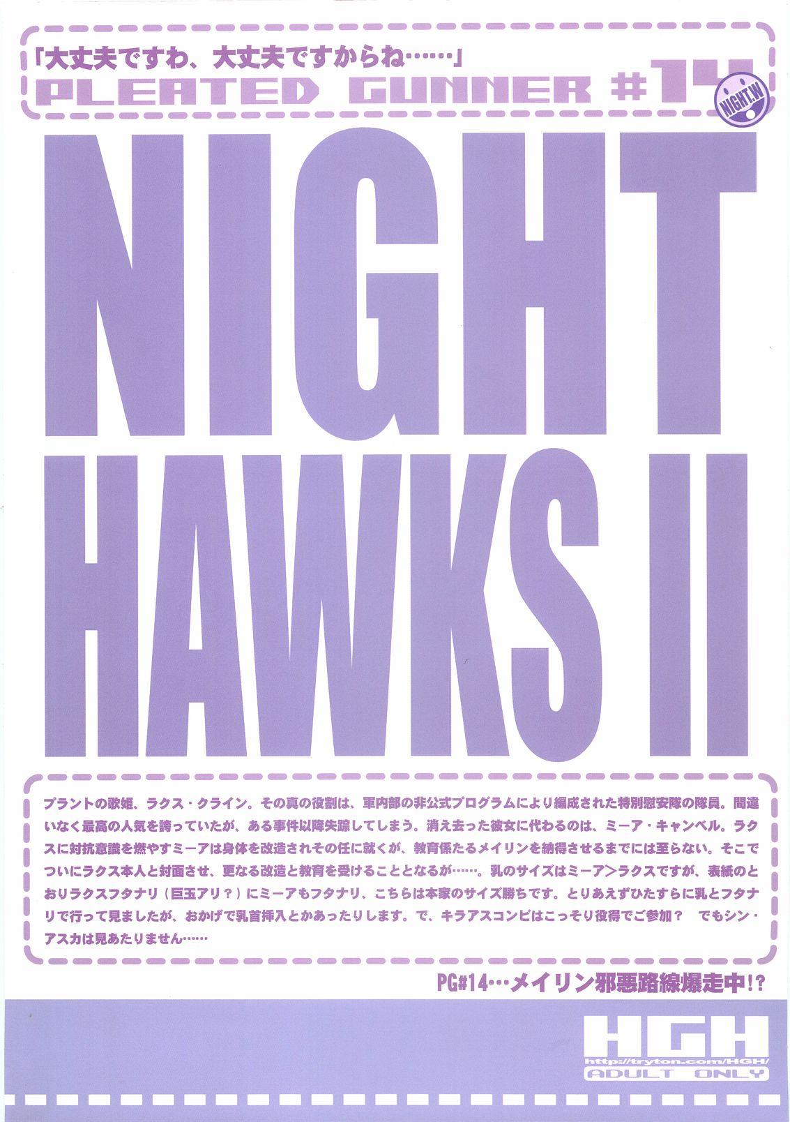 Pleated Gunner #14 - Night Hawks 2 24