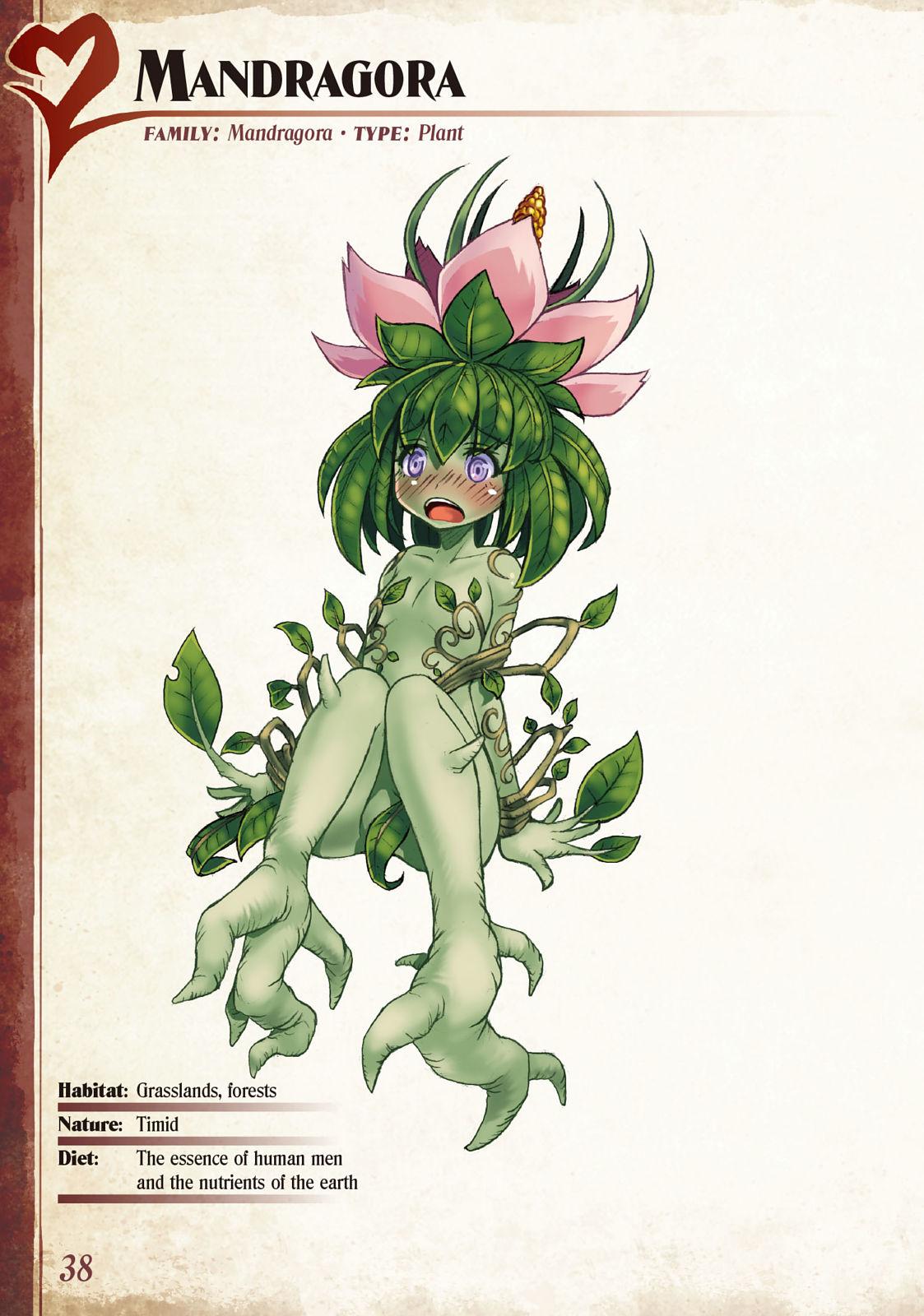 Monster Girl Encyclopedia Vol. 1 38
