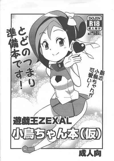 YuOh ZEXAL Kotori-chan Book 0
