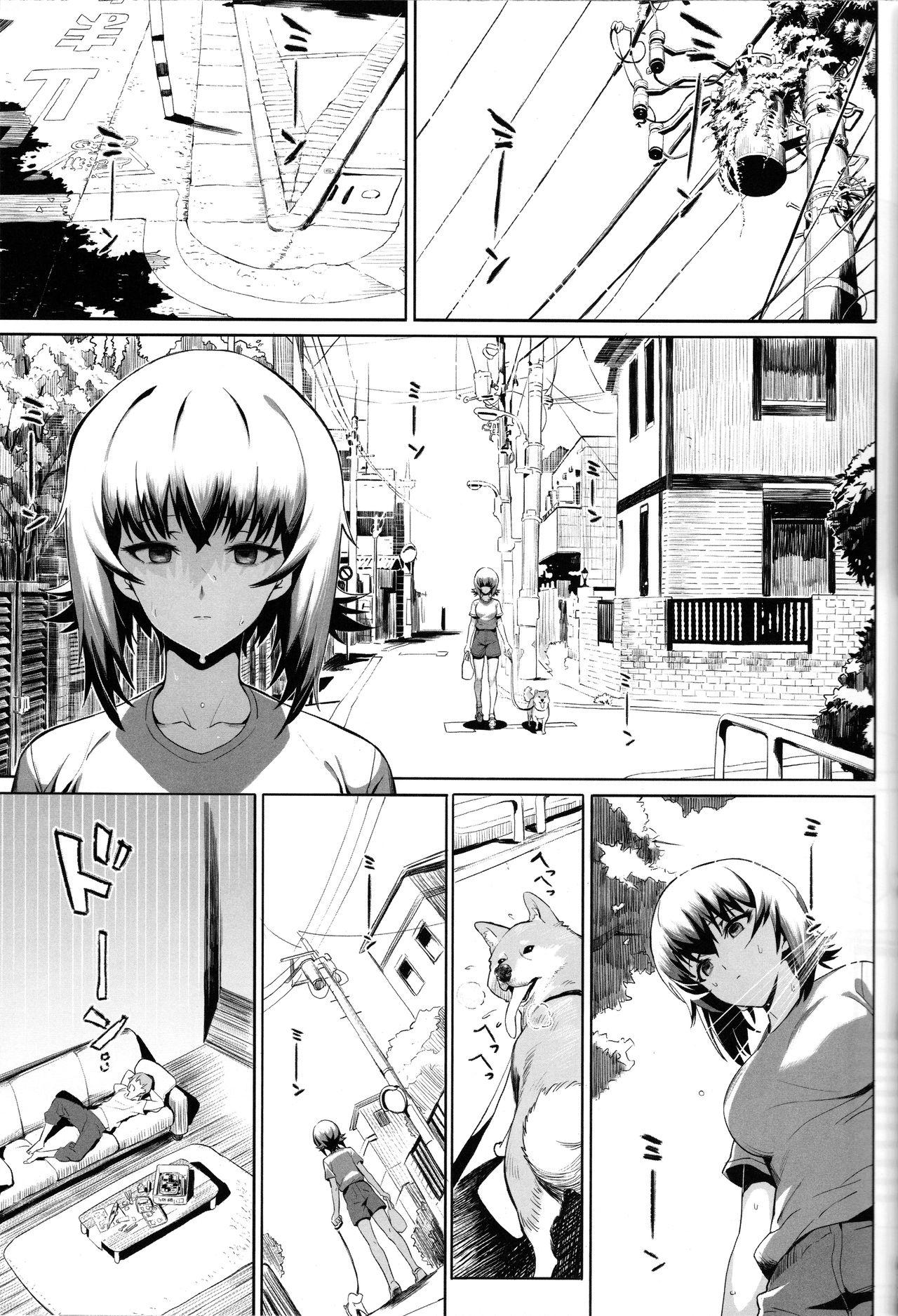 Sextape ERIKA Vol. 2 - Girls und panzer Gays - Page 8