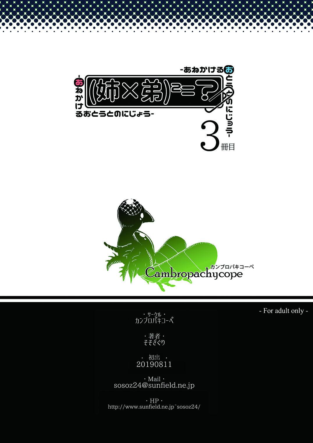 Bulge Ane × otōto no 2-jō 3 satsume Anal Creampie - Picture 2