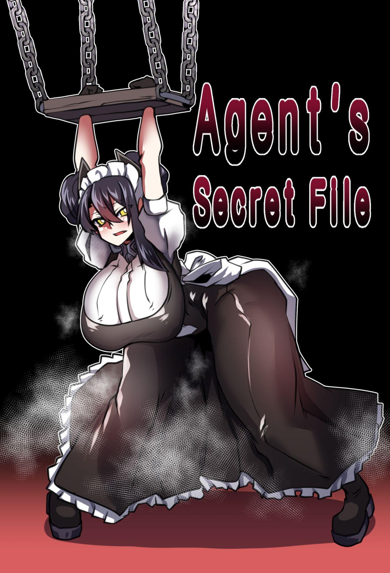 Agent's Secret File 0