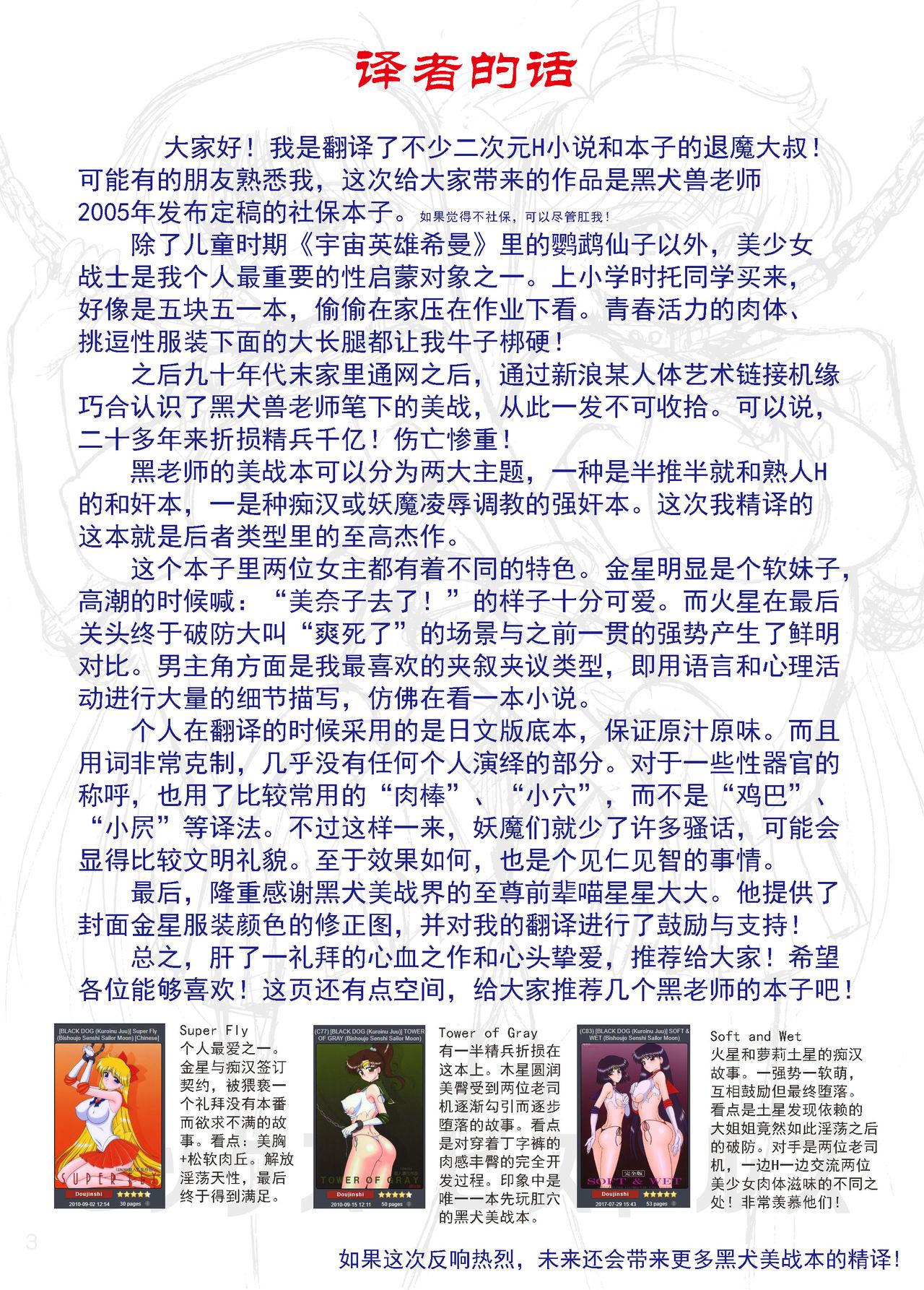 [BLACK DOG (Kuroinu Juu)] Sex Pistols+ (Bishoujo Senshi Sailor Moon) [Chinese] [2005-04-20] | 美少女战士 双星奸落  [退魔大叔情怀精译] 39