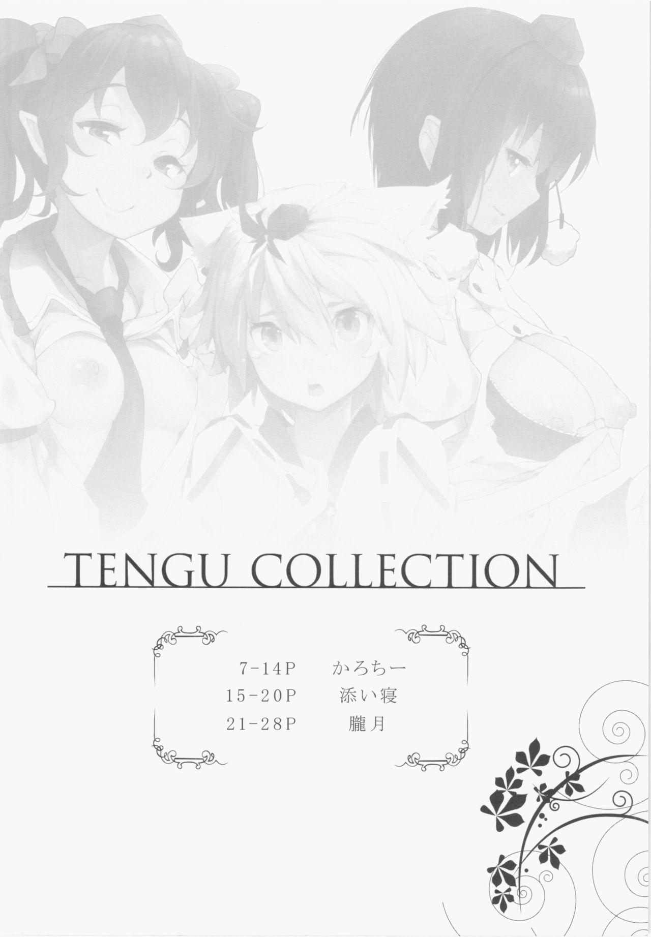 TENGU COLLECTION 6