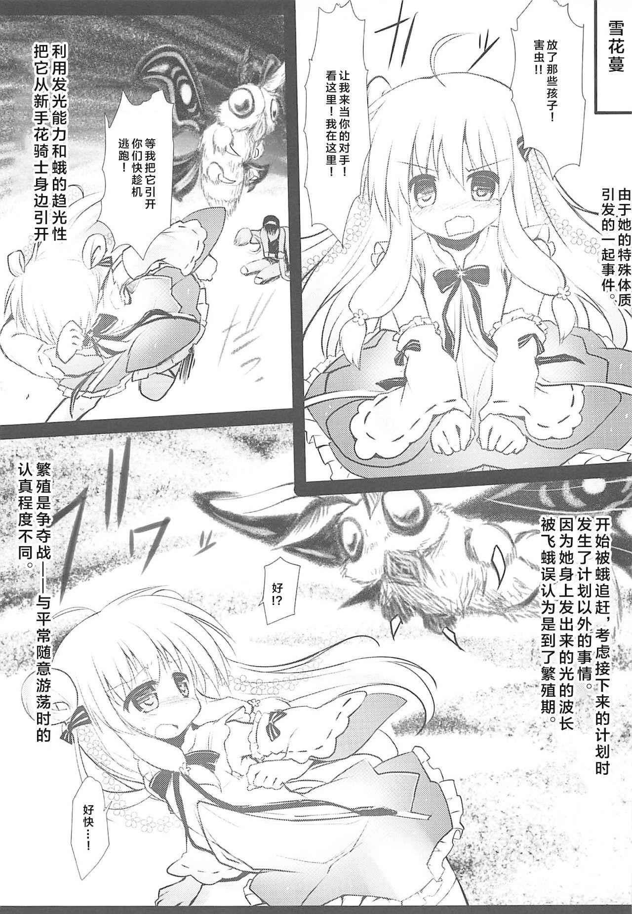 Penetration Gaichuu Higai Houkokusho File 3 - Flower knight girl Cheat - Page 5