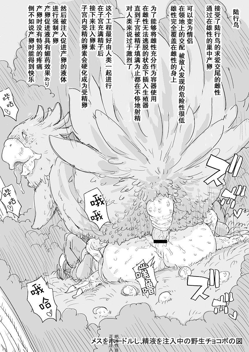 Onee-san no Manga 16