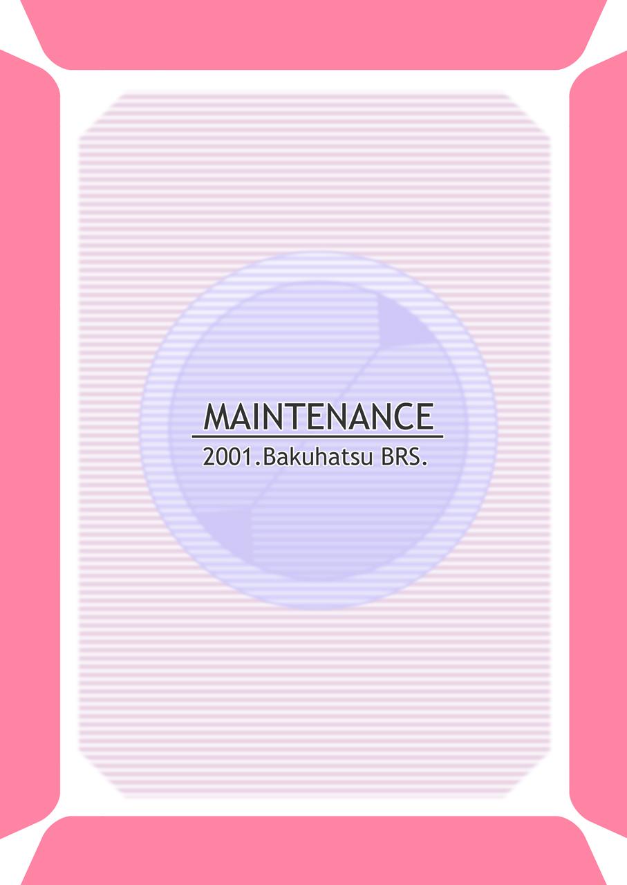 Maintenance 33