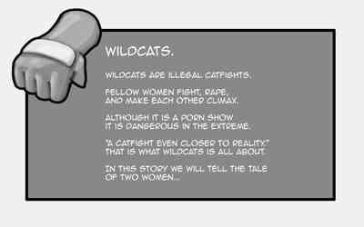 Wildcats 4