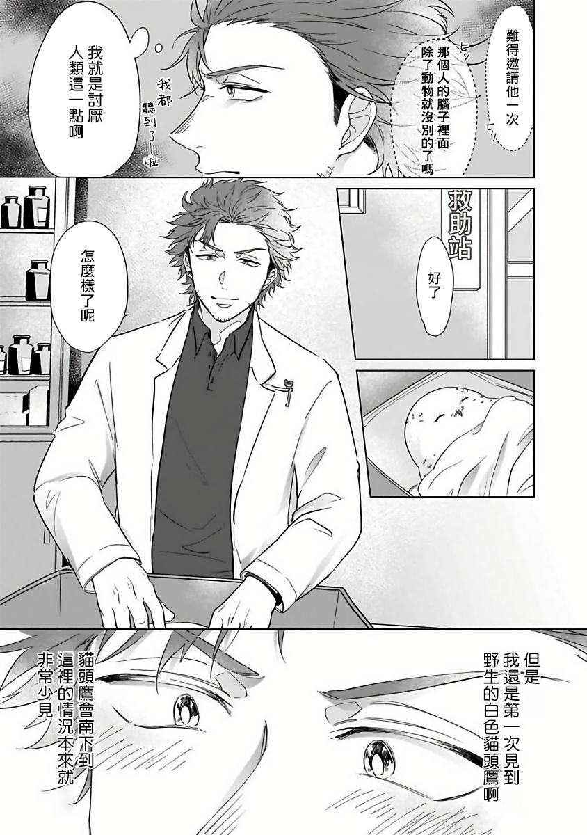 Stepfather Fukurou no Koiwazurai | 猫头鹰的相思病 Ffm - Page 11