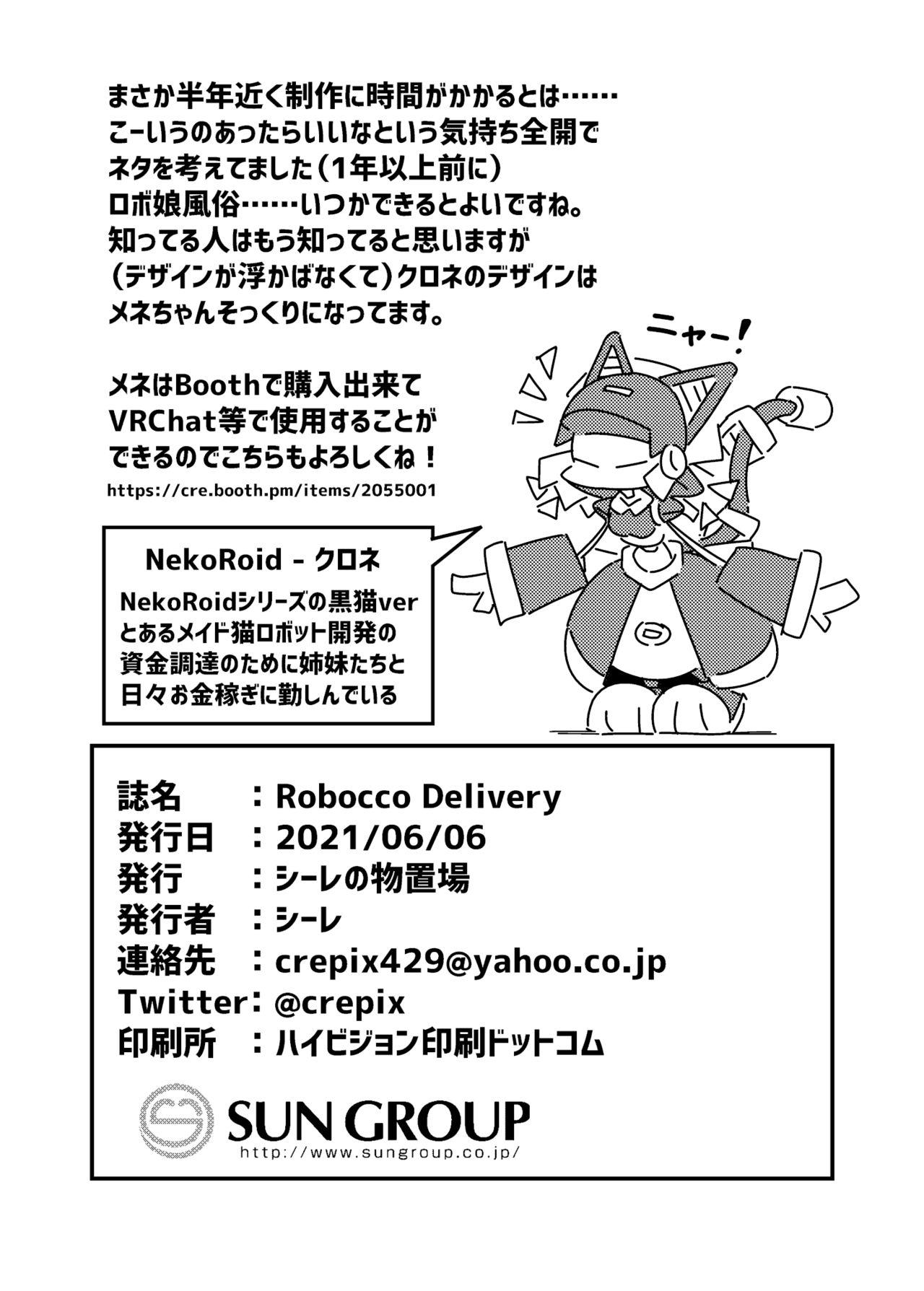 Robocco Delivery 28