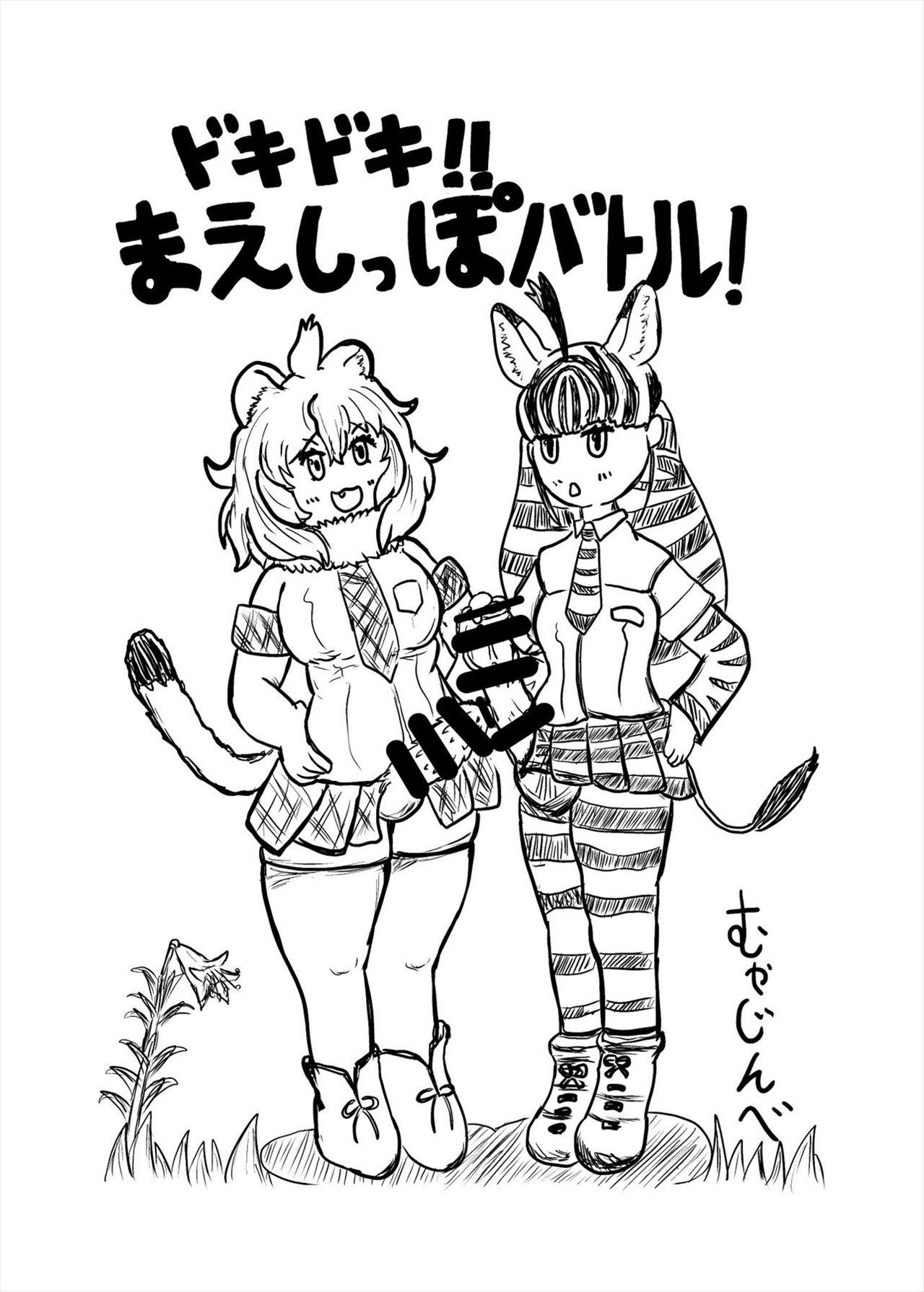 Friends Mae Shippo Goudoushi 251