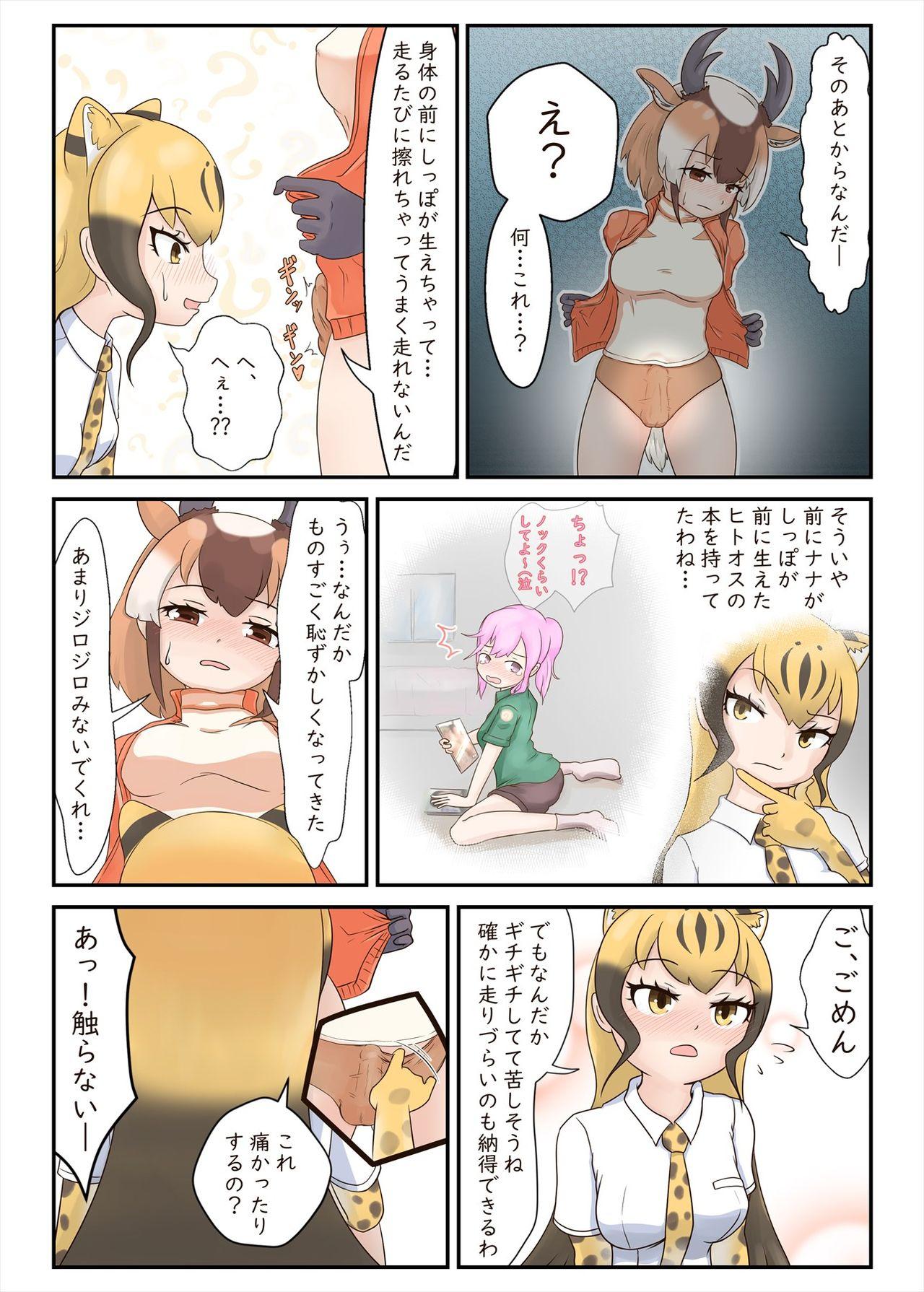 New Friends Mae Shippo Goudoushi - Kemono friends Perra - Page 9