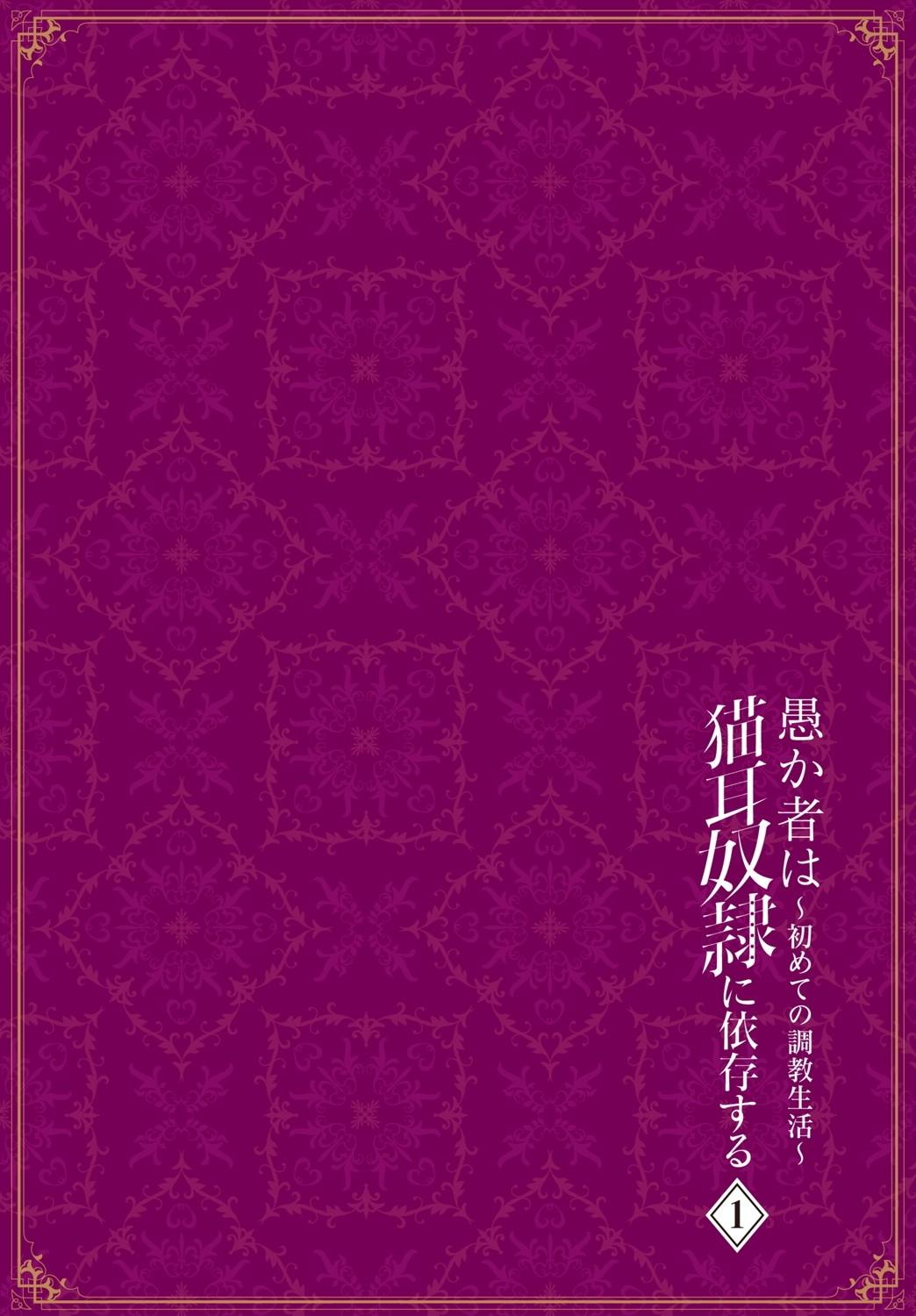 [Kyougoku Touya] Orokamono wa Nekomimi Dorei ni Izon suru ~Hajimete no Choukyou Seikatsu~ Vol. 1 [Digital] 114