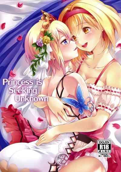 Princess is Seeking Unknown 0