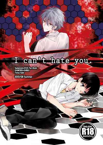 I Can’t Hate You 1