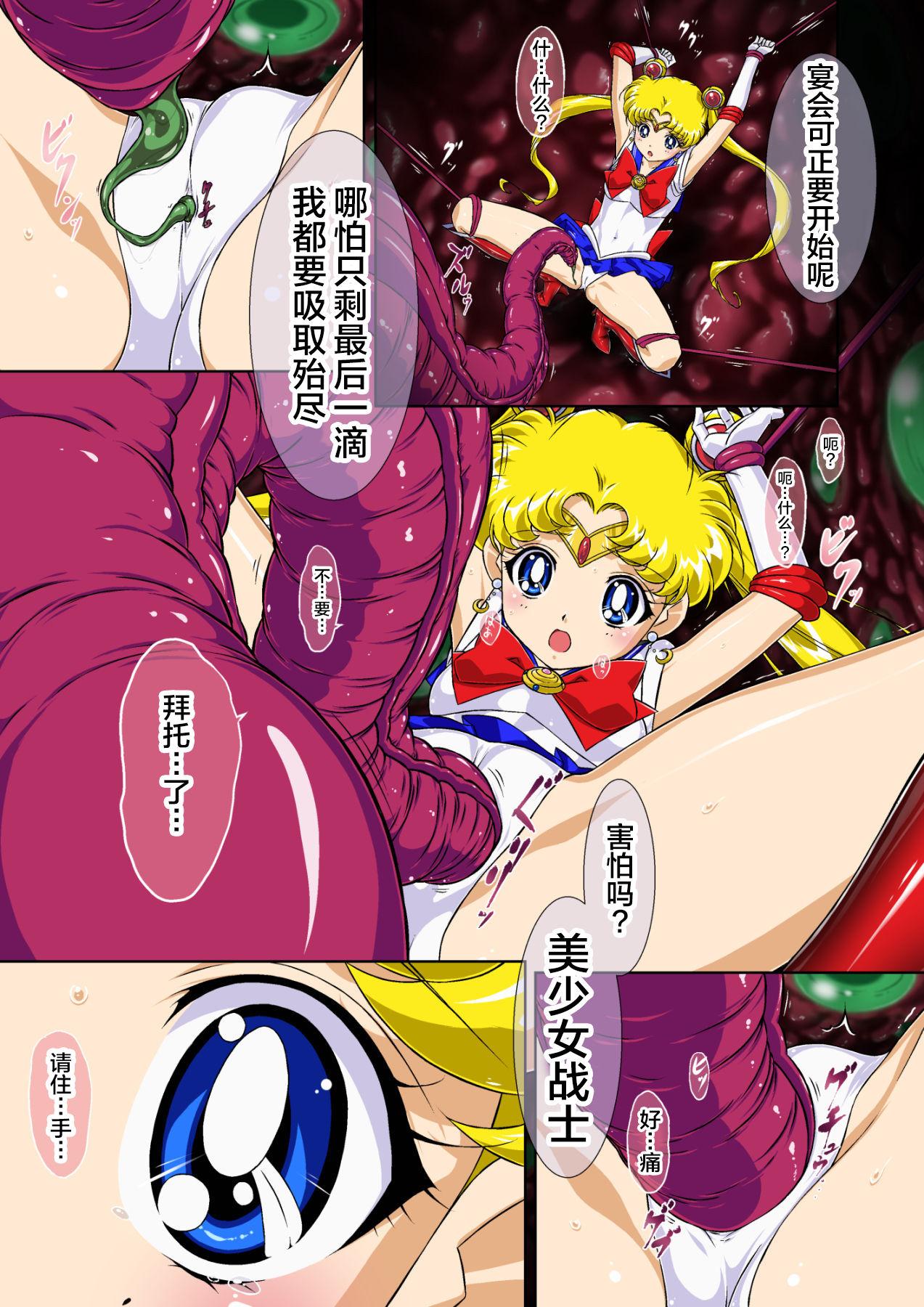 Sailor Moon Chu! 15